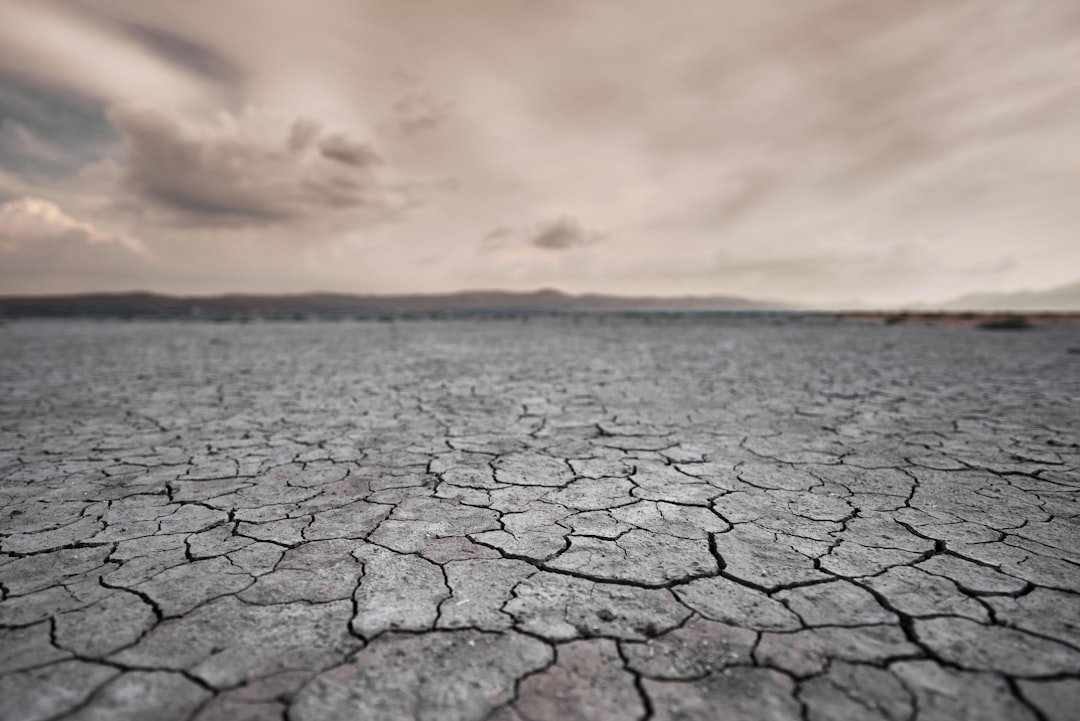 Zmiany klimatu – jak przygotować gminę? Praktyczne rozwiązania