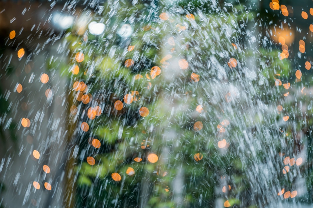 Program retencji wód opadowych – jak go wdrożyć?